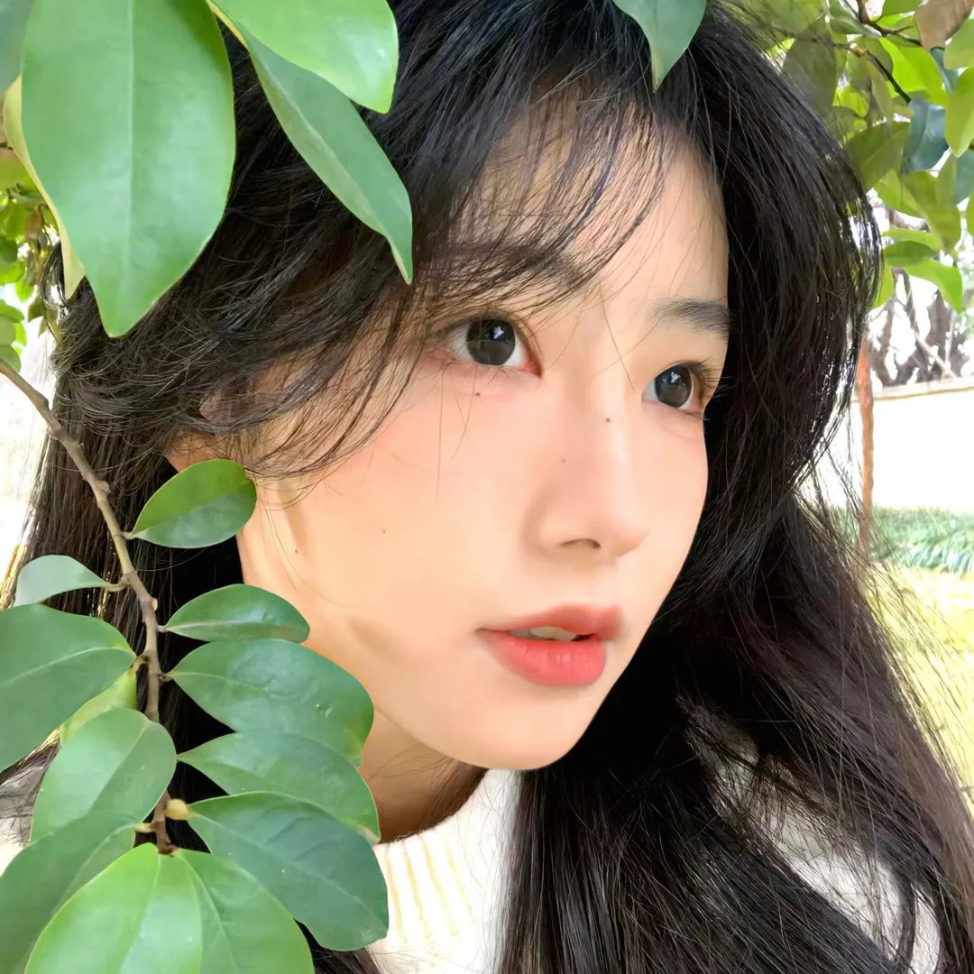 西环的故事