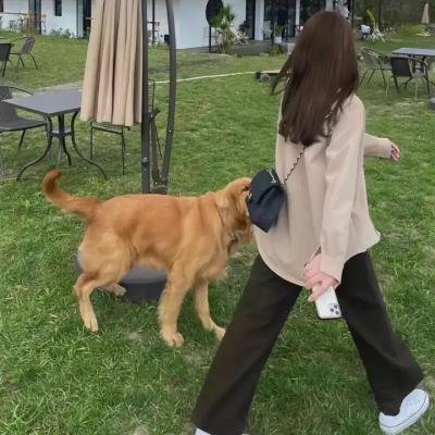 欢乐5人组
